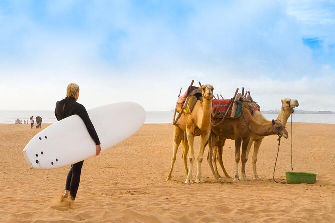 From Marrakech To Essaouira Mogador Full Day Trip | Small-group - Leaving Marrakech at 8:00 a.m.
