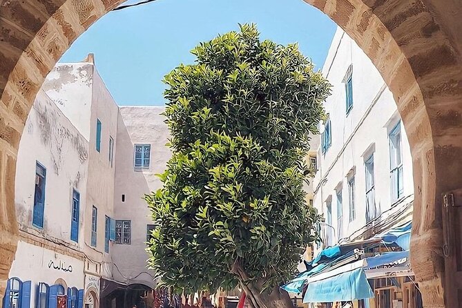 From Marrakech To Essaouira Mogador Full Day Trip | Small-group - Is $17.61 a good value?