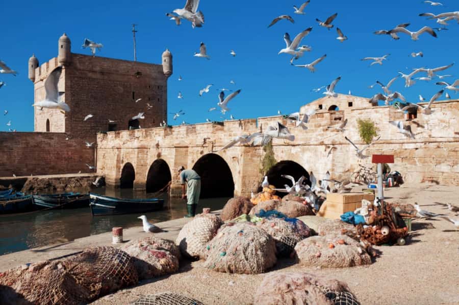 From Marrakech To Essaouira Mogador Full Day Trip Smallgroup - The argan cooperative explains more than a souvenir shop