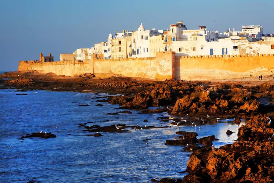 From Marrakesh: Essaouira Day Trip - The argan oil cooperative near Sidi Mokhtar