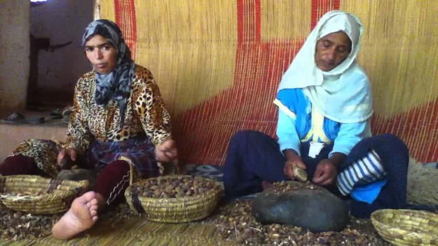 From Marrakesh: Essaouira Day Trip - Walking the medina and finding your own route