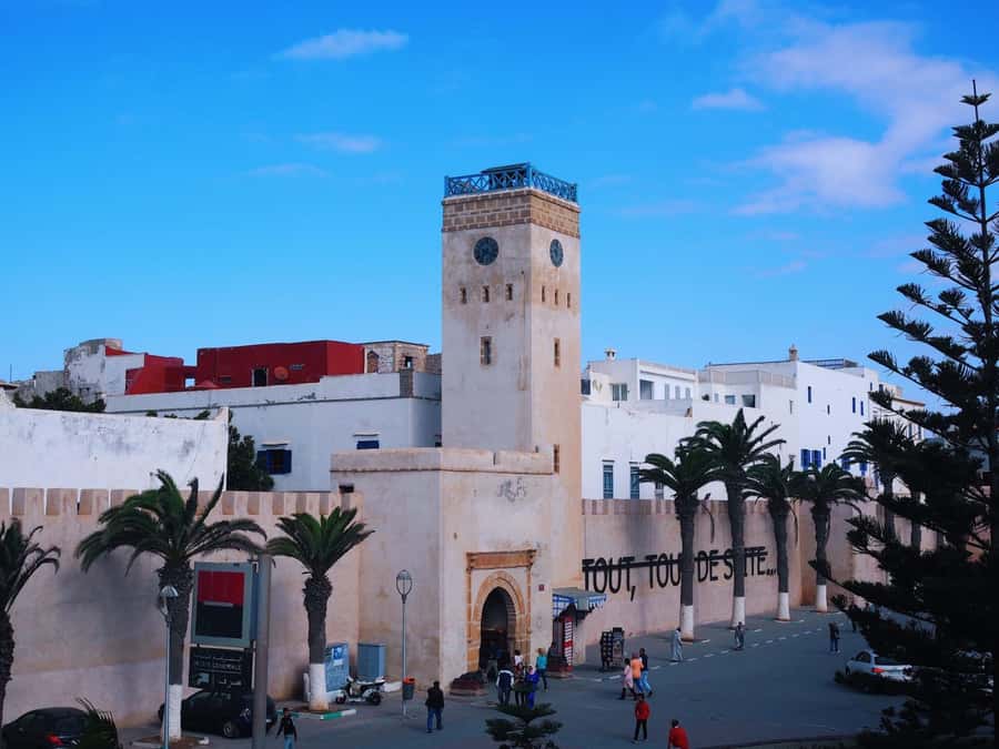 From Marrakesh: Essaouira Day Trip - The beach, seafood, and free time