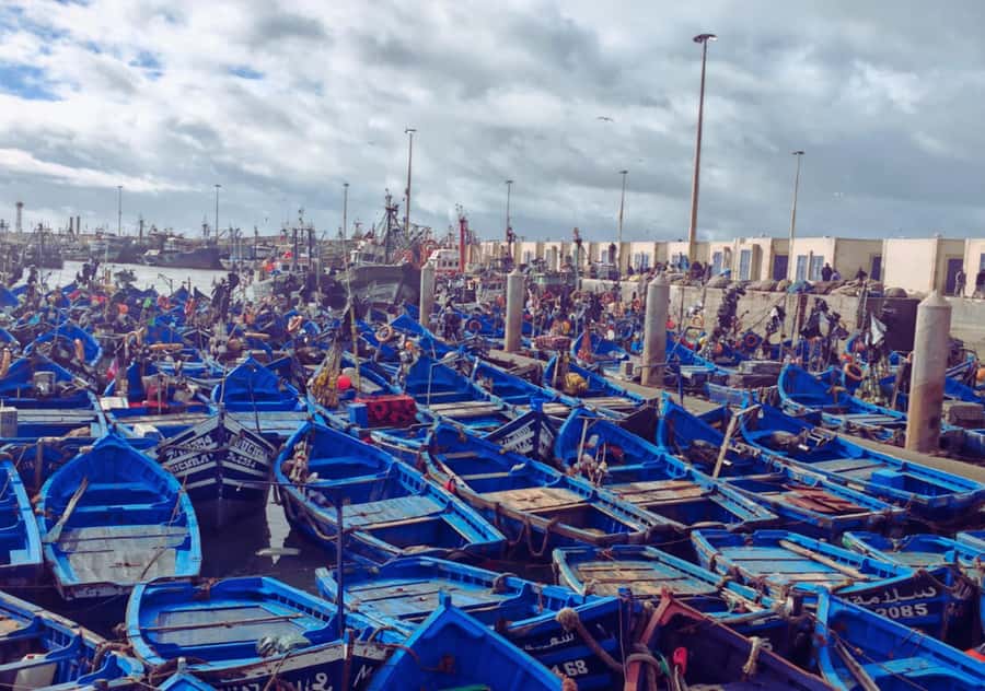 From Marrakesh: Essaouira Full-Day Trip - Why Essaouira makes a smart escape from Marrakesh