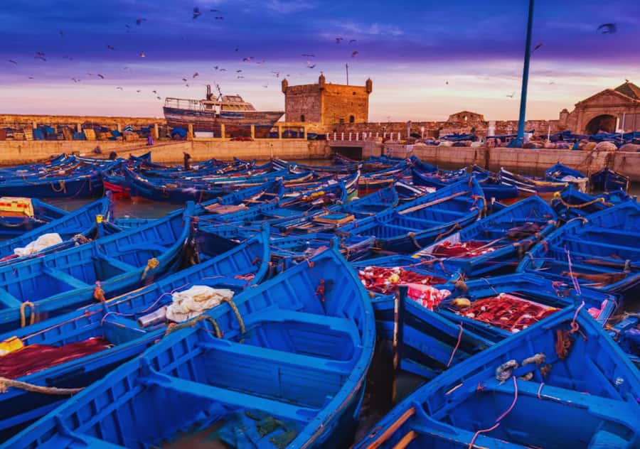 From Marrakesh: Essaouira Full-Day Trip - What the argan cooperative adds to the day