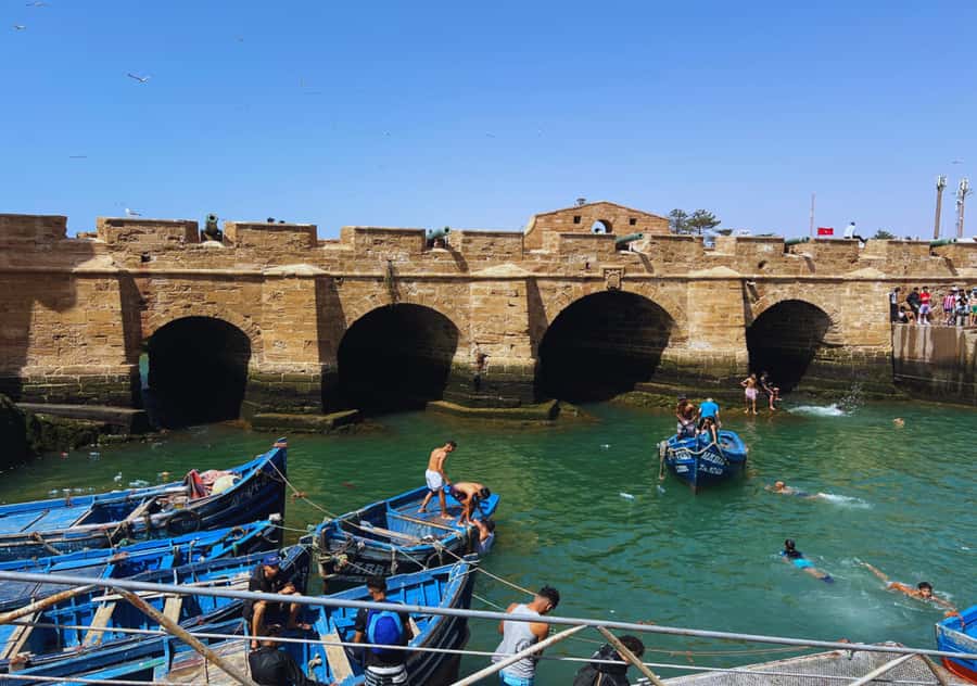 From Marrakesh: Essaouira Full-Day Trip - Seafood, beach time, and the right pace