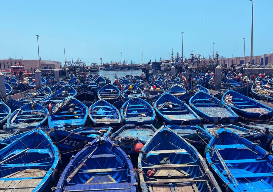 From Marrakesh: Essaouira Full-Day Trip - Five hours of freedom, with a little planning