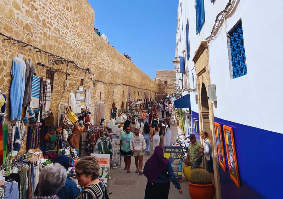 From Marrakesh: Essaouira Full-Day Trip - Drivers, guides, and the human side of the trip
