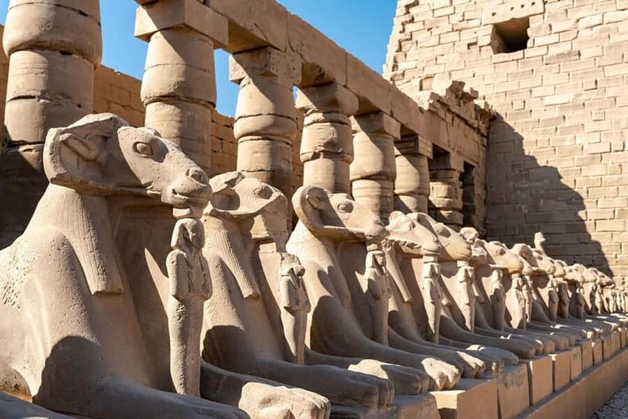 From Marsa Alam: Private Day Trip to Luxor by Car - Is this suitable for families?