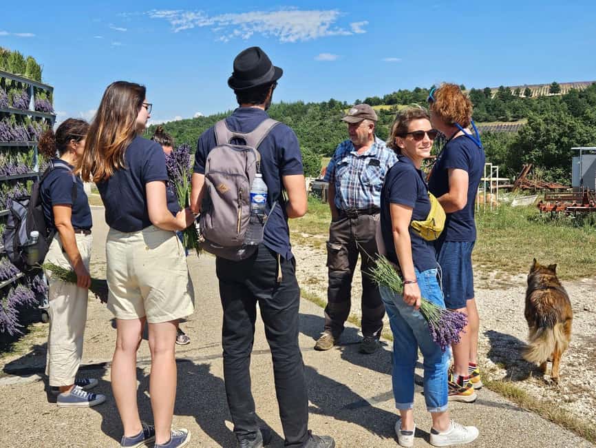 From Marseille: Lavender Full-Day Trip to Sault - Gordes on its high rocky perch