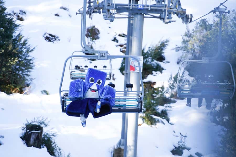 From Melbourne: Day Trip to Mt Buller by Premium Tour Coach - Why this Mt Buller trip works from Melbourne