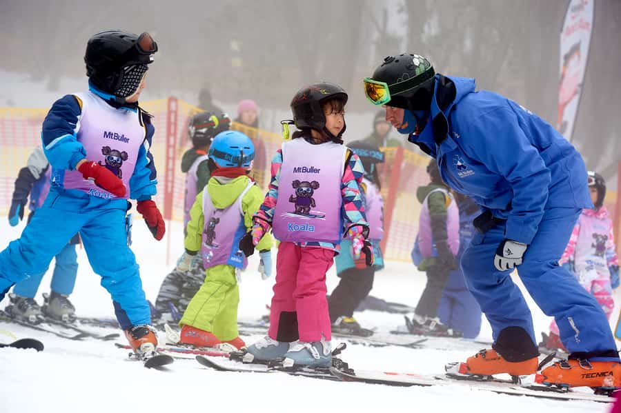 From Melbourne: Day Trip to Mt Buller by Premium Tour Coach - The three-hour ride into the high country