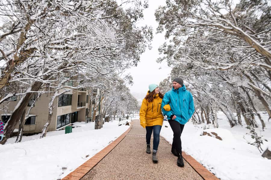 From Melbourne: Day Trip to Mt Buller by Premium Tour Coach - Six hours for skiing, snow play, and village time