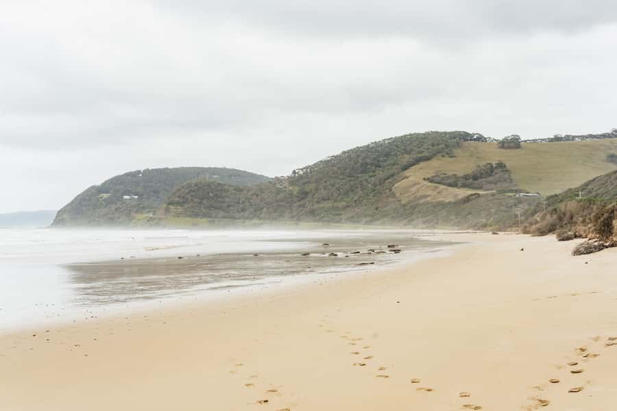 From Melbourne: Small-Group Great Ocean Road Day Trip - Kennett River and the search for koalas