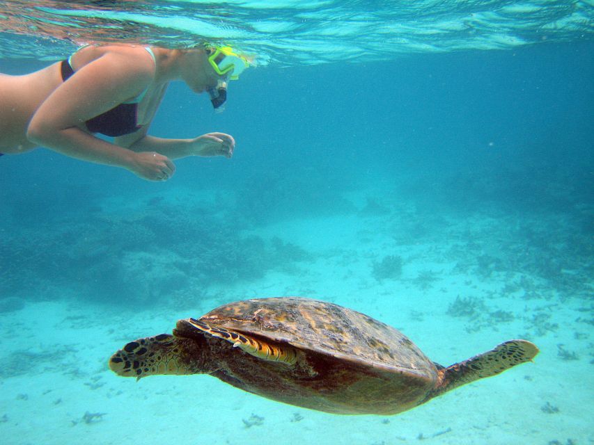 From Miami: Key West Day Trip - Key details before you book