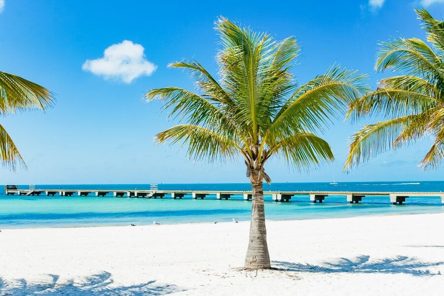 From Miami: Key West Day Trip - Optional snorkeling with Fury Adventures