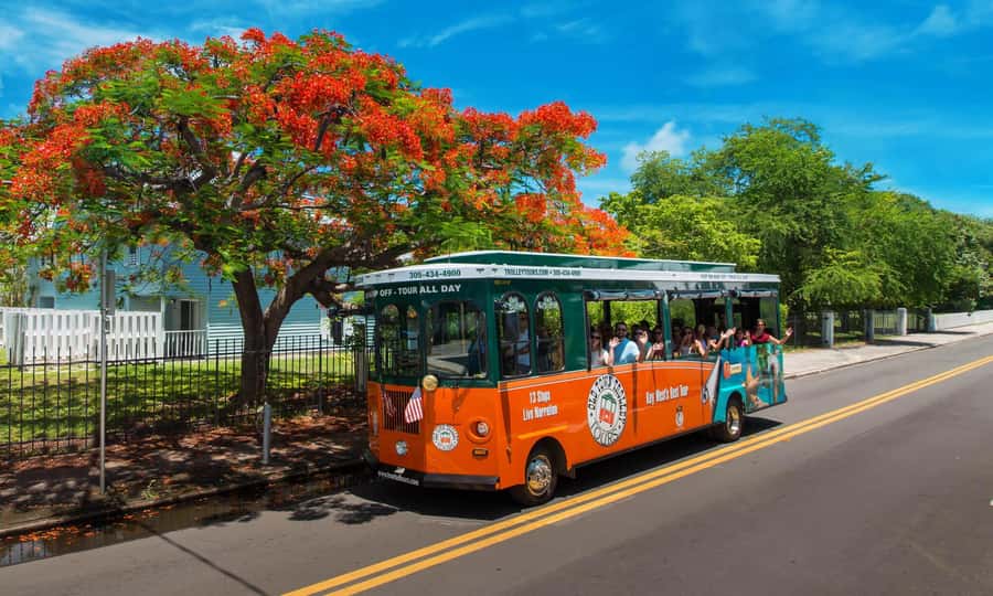 From Miami: Key West Day Trip with Narration - The real value of a $39 day trip