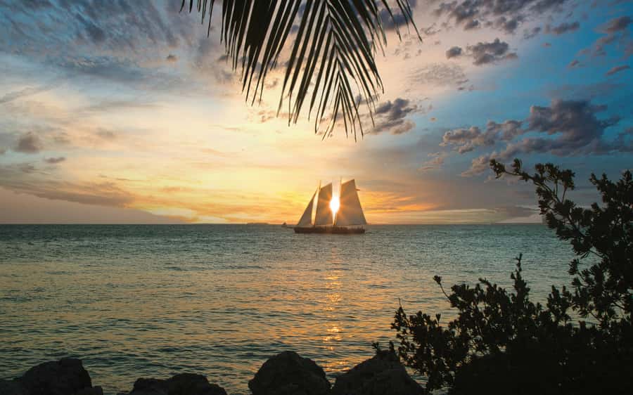 From Miami: Key West Day Trip with Narration - Who should book this Key West trip?