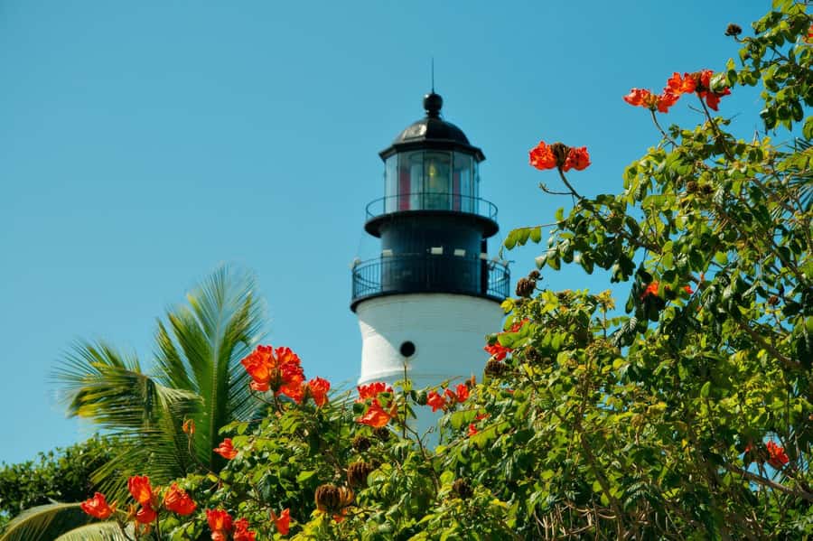 From Miami: Key West Day Trip with Narration - FAQ