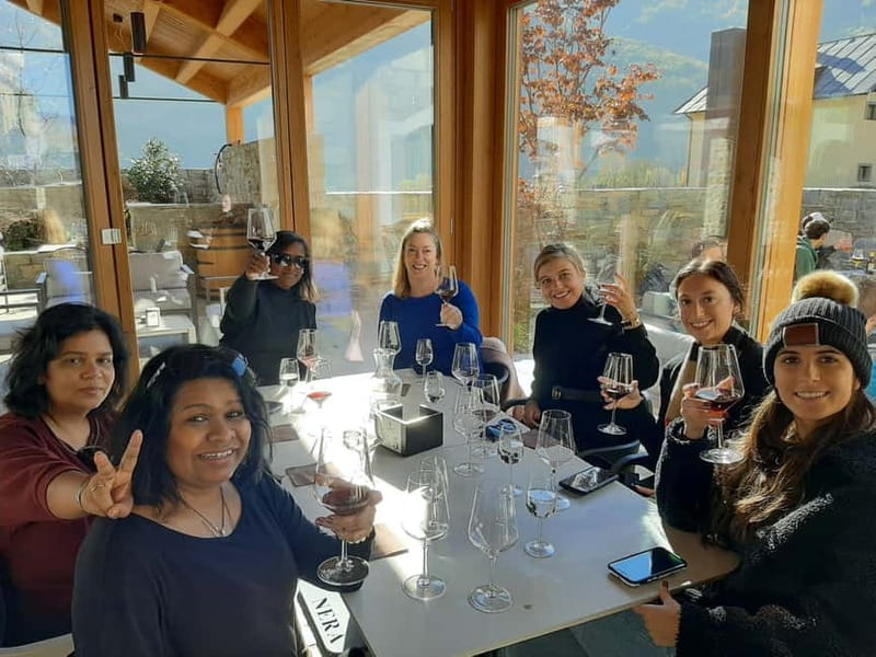 From Milan: Scenic Alps Day Trip with Bernina Train Ride - Guides, vehicles, and the personal touch