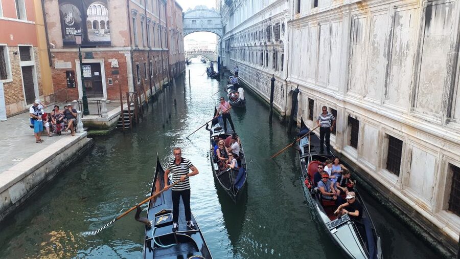 From Milan: Venice City Highlights Guided Day Trip - Key points at a glance