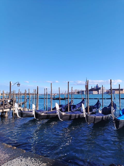 From Milan: Venice City Highlights Guided Day Trip - Meeting the group in Milan