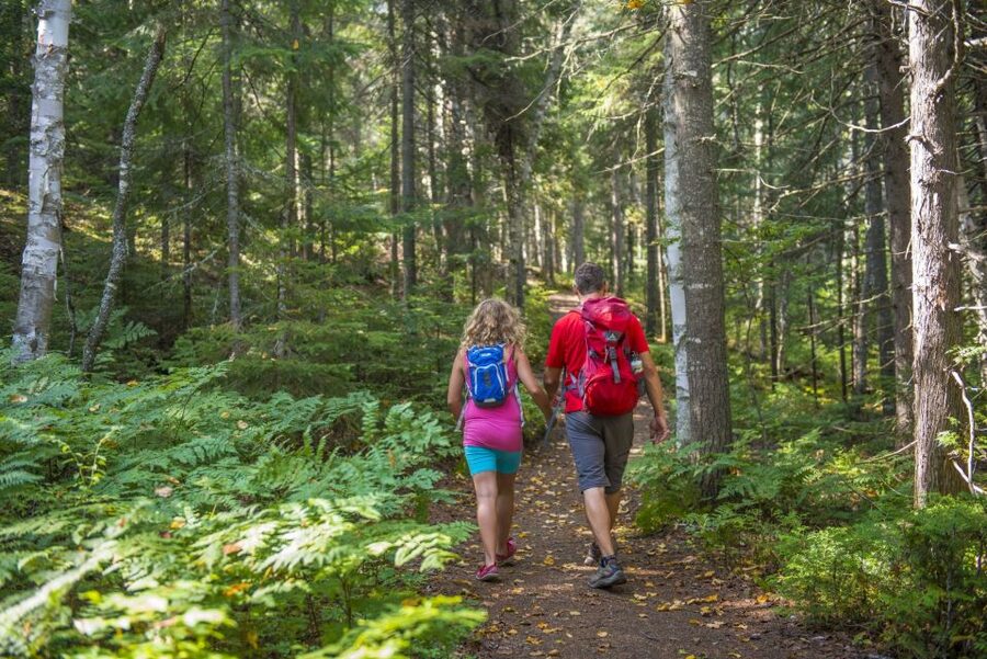 From Montreal: Mont-Tremblant National Park Hiking Day Trip - Who should book this day trip?