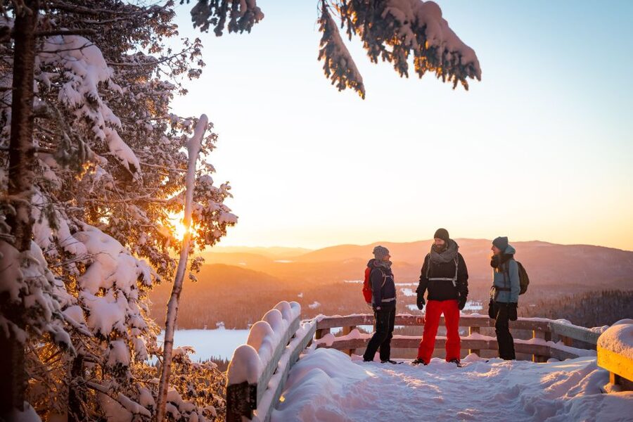 From Montreal: Mont-Tremblant National Park Hiking Day Trip - What the guide does, and what you do yourself