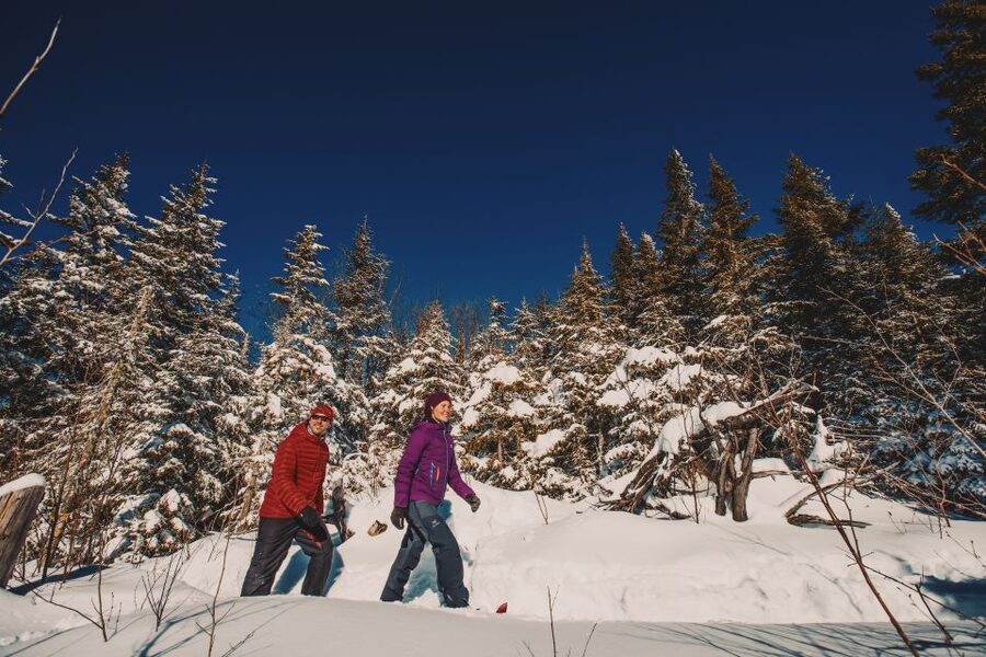 From Montreal: Mont-Tremblant National Park Hiking Day Trip - Choosing your trail in Mont-Tremblant National Park