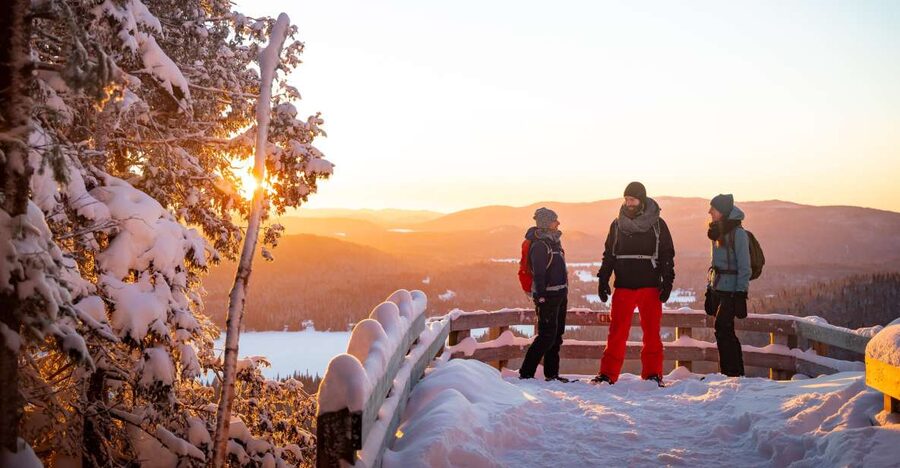 From Montreal: Mont-Tremblant National Park Hiking Day Trip - Meeting the minibus at Station Radisson