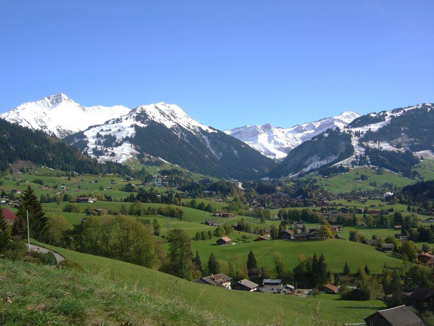 From Montreux: Glacier 3000 Day Trip - Leaving Montreux for the Vaud Alps