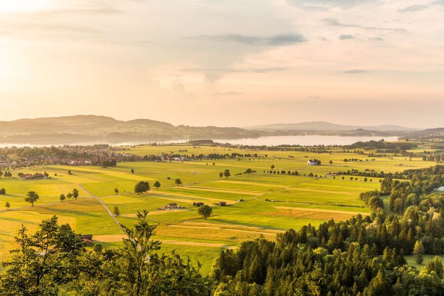 From Munich: Neuschwanstein Castle Full-Day Trip by Van - The gorge and waterfalls add a welcome change of pace