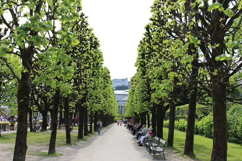 From Munich: Salzburg Day Trip by Train - Meeting at Dachauer Straße 4 in Munich