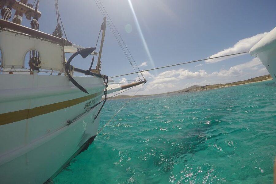 From Mykonos: Delos & Rhenia Islands Half-Day Trip by Boat - Three hours at Rhenia for swimming and lunch