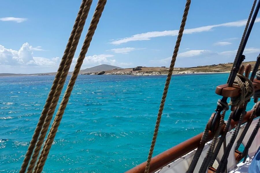 From Mykonos: Delos & Rhenia Islands Half-Day Trip by Boat - Who should book this excursion