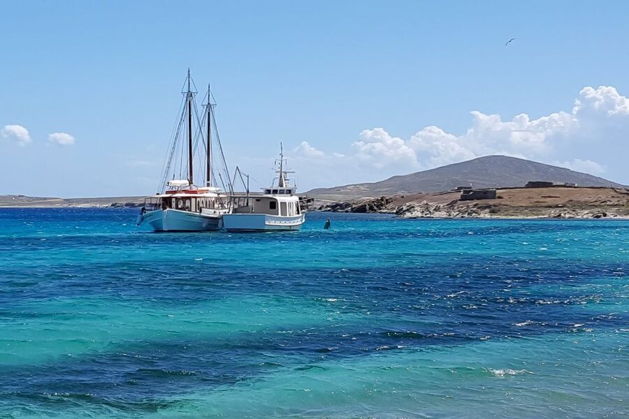 From Mykonos: Delos & Rhenia Islands Half-Day Trip by Boat - What to pack for the day