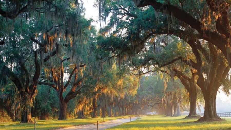 From Myrtle Beach: Charleston Day Trip, Boone Hall & Cruise - Key points to know before booking
