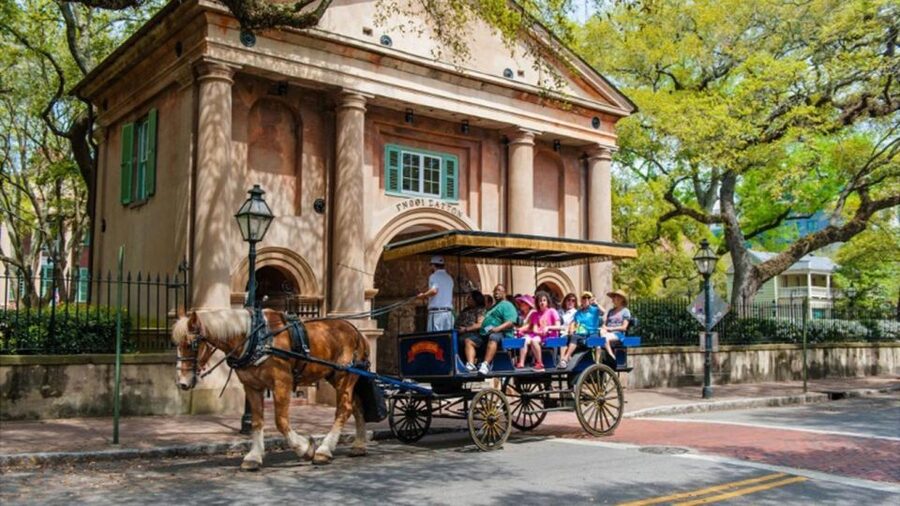 From Myrtle Beach: Charleston Day Trip, Boone Hall & Cruise - Seeing Charleston by horse-drawn carriage