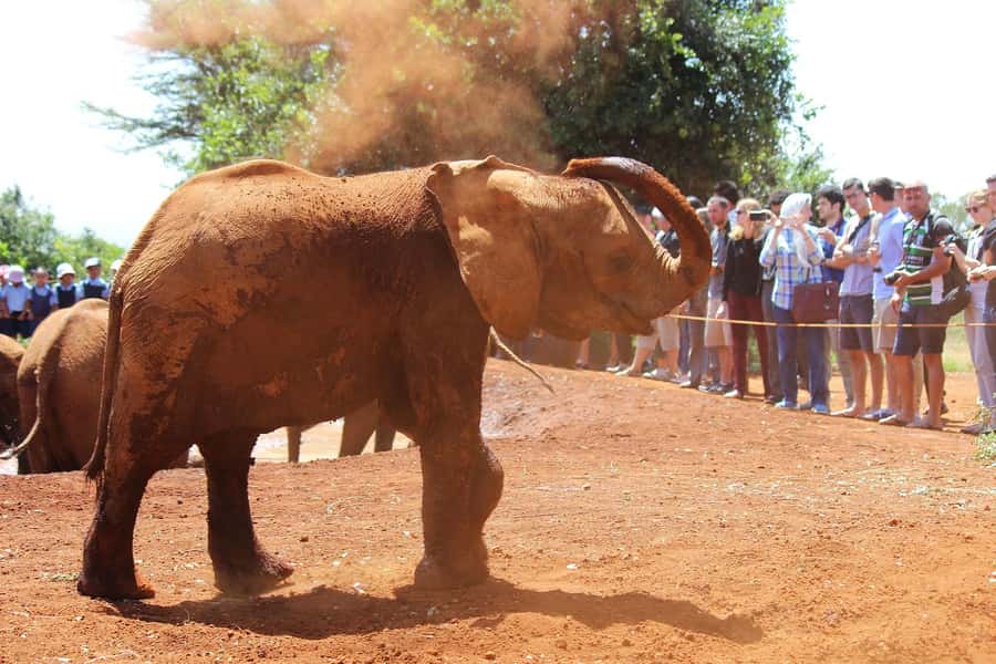 From Nairobi: Elephant Orphanage and Giraffe Center Day Trip - Kazuri Beads: more than a shopping stop