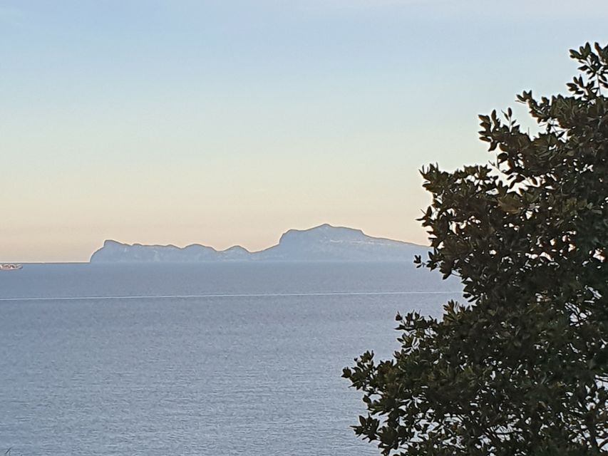 From Naples: Capri Day Trip with Lunch - Lunch and the limits of an included meal