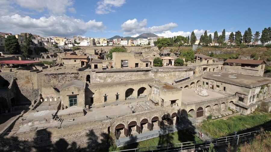 From Naples: Day Trip to Herculaneum with skip the line - Pickup problems and the return journey
