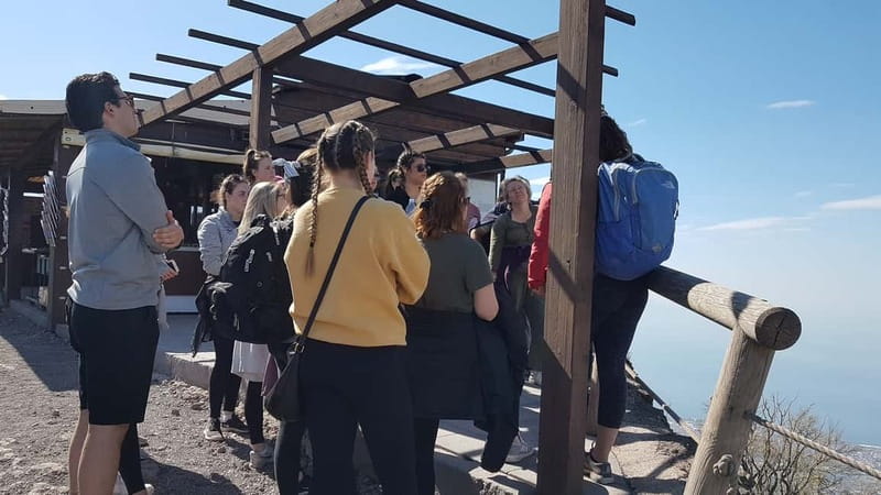 From Naples: Day Trip to Mount Vesuvius - The crater and the park guide