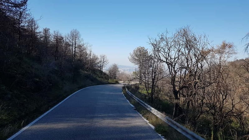 From Naples: Day Trip to Mount Vesuvius - Is $71 a fair price?