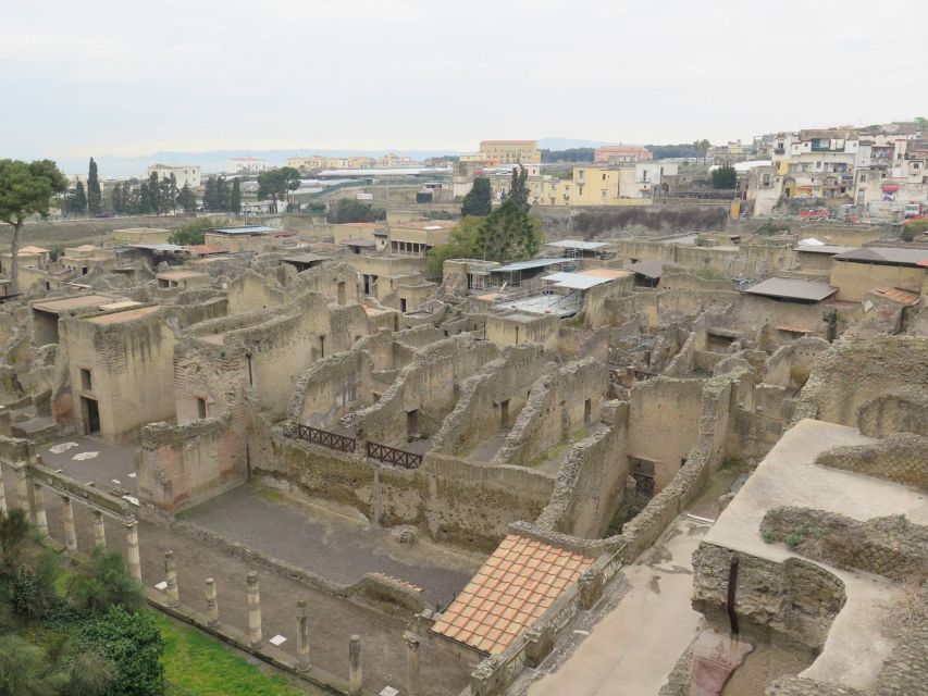 From Naples: Herculaneum, Mount Vesuvius & Pompeii Day Trip - What the host adds, and what you do not get