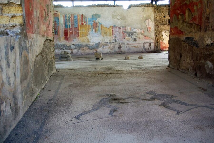 From Naples: Herculaneum, Mount Vesuvius & Pompeii Day Trip - Who should book this day trip