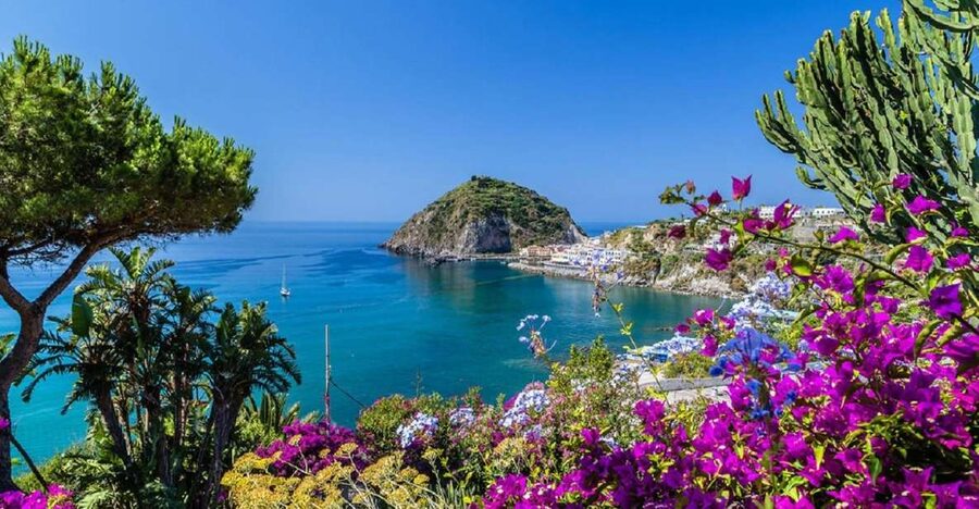From Naples: Ischia Day Trip with Ferry Tickets and Lunch - Leaving Naples from Molo Beverello at 8:00 am