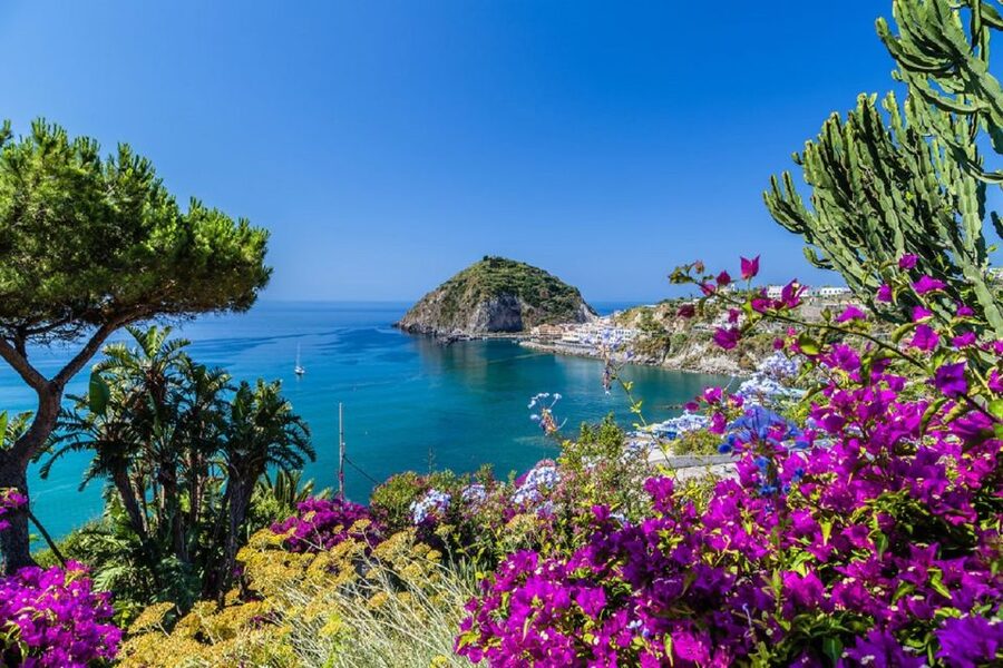 From Naples: Ischia Day Trip with Ferry Tickets and Lunch - Crossing to Ischia by ferry