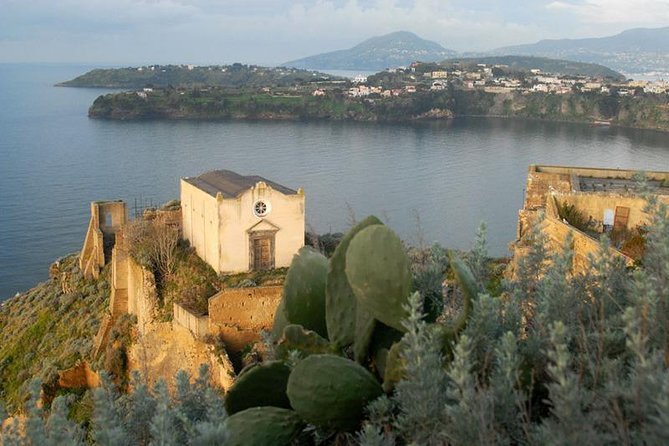 From Naples: Procida Island Day Trip with Lunch - Why Procida makes a good day away from Naples