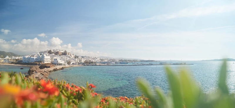 From Naxos: Delos and Mykonos Full-Day Trip - Leaving from Naxos Marina