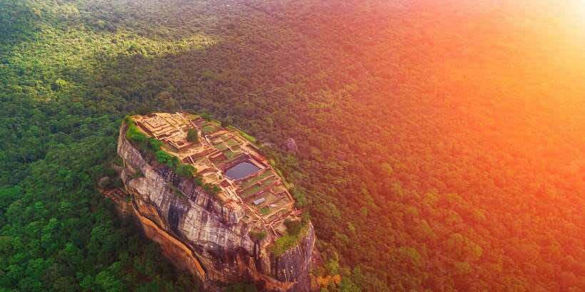 From Negombo: Sigiriya and Dambulla Day Trip and Safari - What the guides and driver add to the day