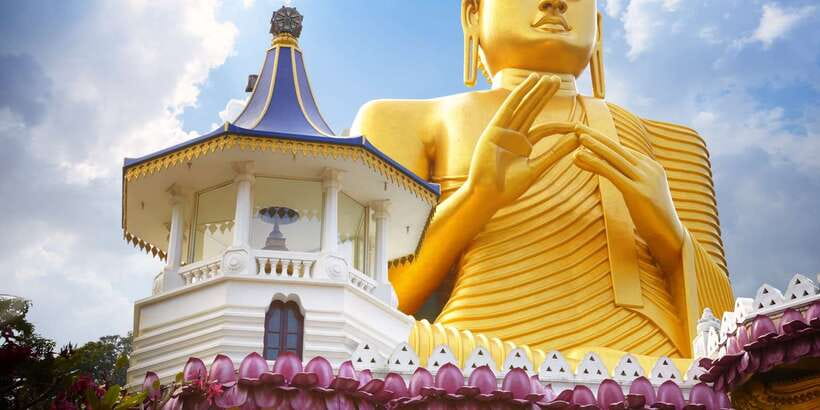 From Negombo: Sigiriya and Dambulla Day Trip and Safari - Afternoon safari at Minneriya, Kaudulla, or Eco Park